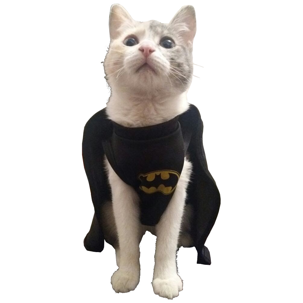 Disfraz Batman perro y gato Tienda
