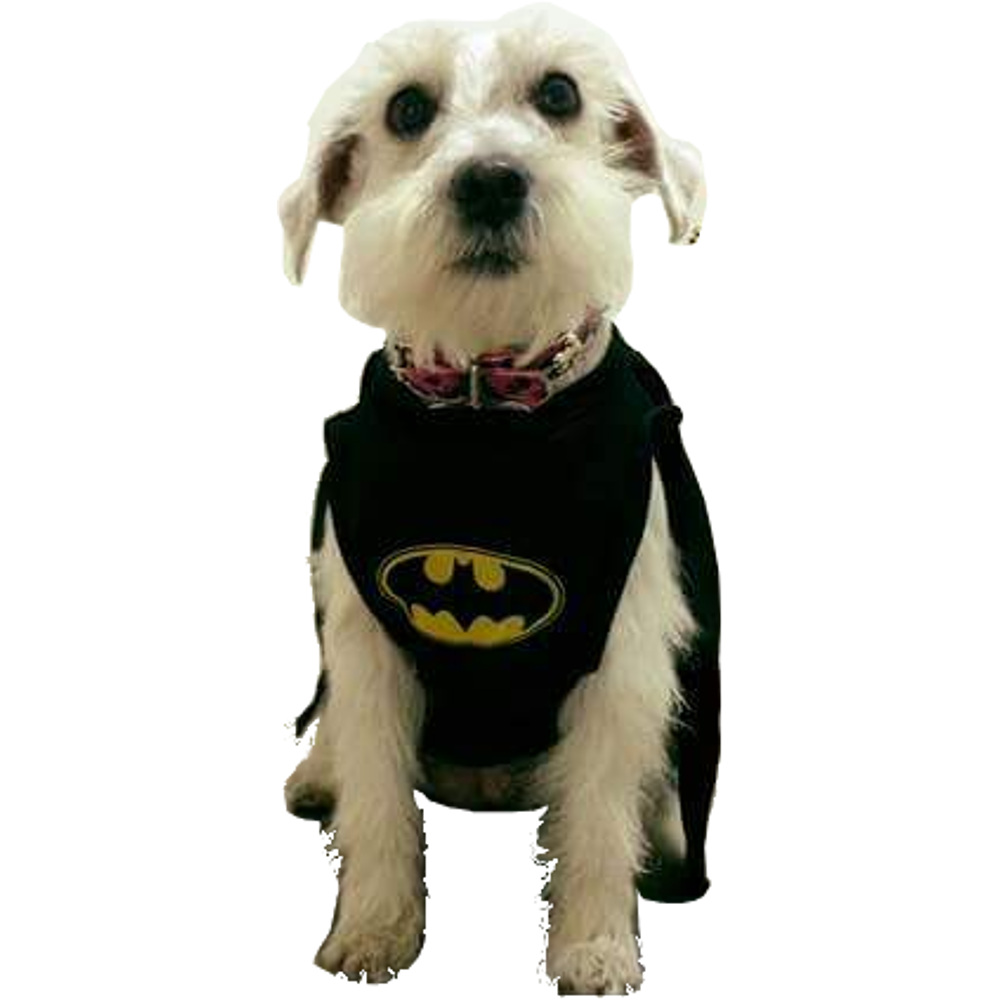 reflujo Situación Hay una tendencia Disfraz de Batman para perro y gato – Tienda Maskotikas