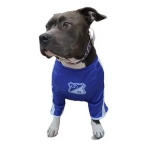 Camiseta Millonarios para perro y gato
