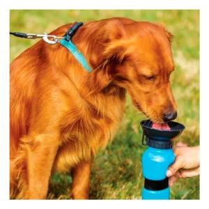 Bebedero Portátil Para Perro