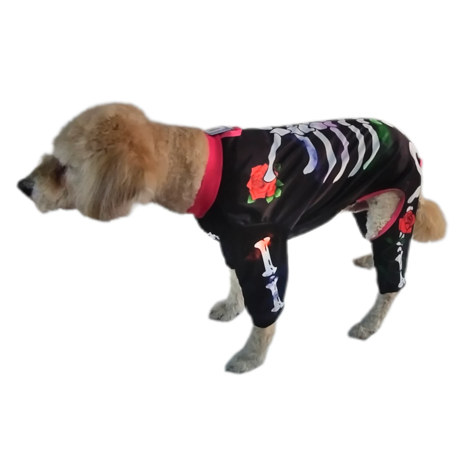 Disfraz de Catrina Katrina para perro y gato - Imagen 8