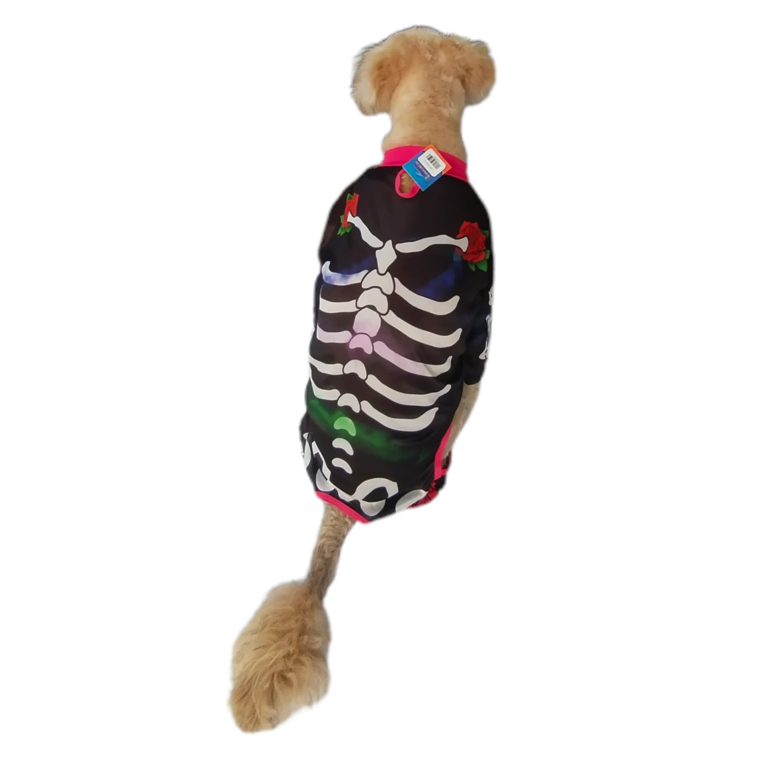 Disfraz de Catrina Katrina para perro y gato - Imagen 4