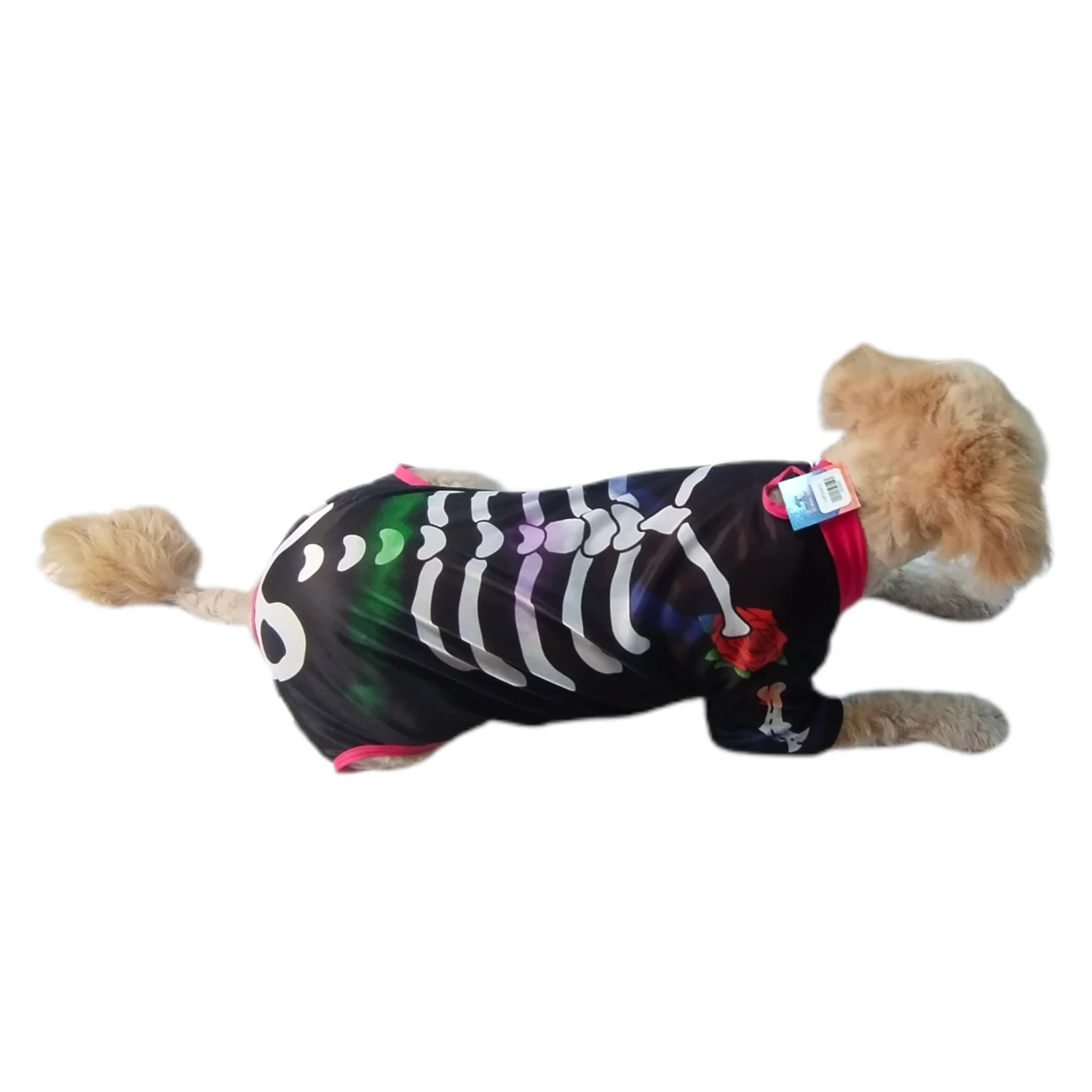 Disfraz de Catrina Katrina para perro y gato - Imagen 3