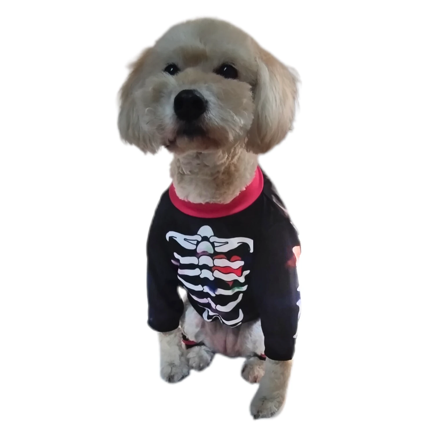 Disfraz de Catrina Katrina para perro y gato - Imagen 2