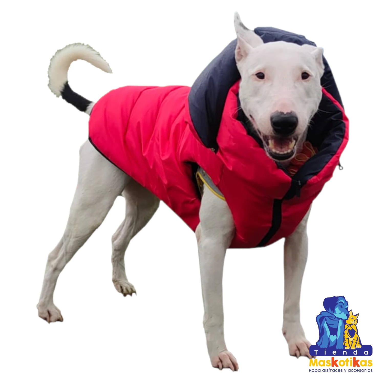 Chaleco Impermeable para perro y gato - Imagen 21